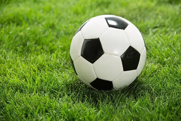 足球数据分析展示